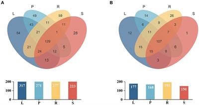 Elucidating the endophytic bacterial and fungal community composition and diversity in the tree fern Alsophila spinulosa through meta-amplicon sequencing